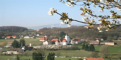 jurovski dol1